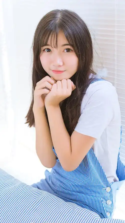 正版P站版本号与更新日志对照条目封面